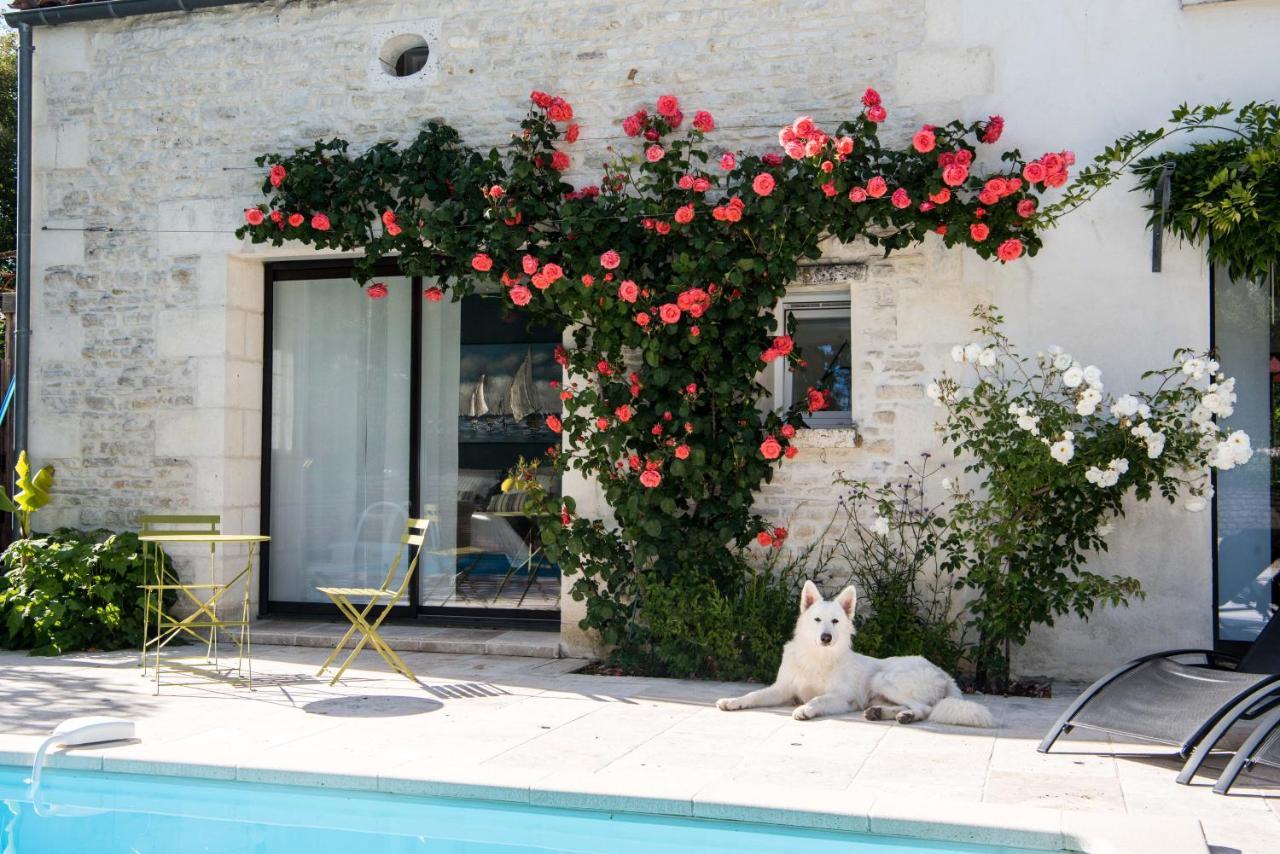 Le Logis De La Brumanderie - Saintes Fontcouverte  Exteriér fotografie