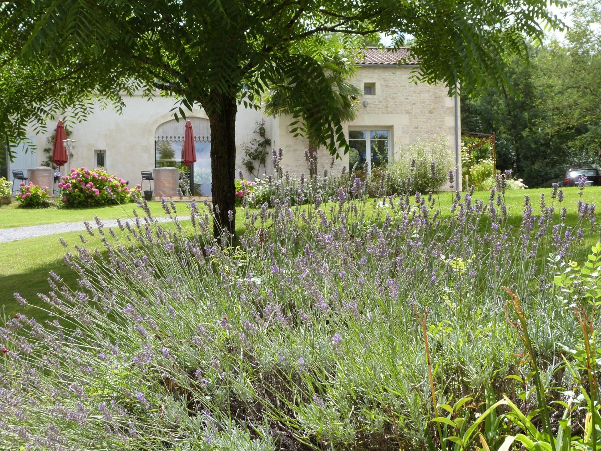 Le Logis De La Brumanderie - Saintes Fontcouverte  Exteriér fotografie